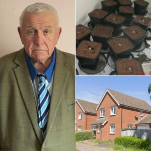 Podcast: Landlord Fergus Wilson left with £60,000 repair bill after three properties turned into cannabis factories