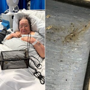 Podcast: Medway Maritime Hospital criticised after mouse droppings found under patient’s bed and in drawers